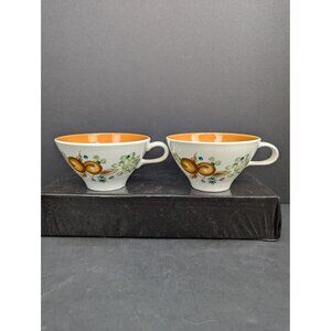Vintage Informal True China Iroquois Ben Seibel Design 6 Oz Tea Cup Lot of 2